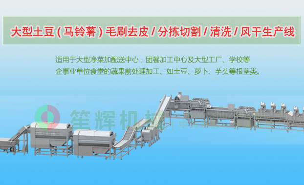 海安连续式土豆去皮清洗切割风干生产线